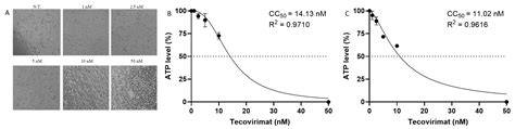 Antiviral Effects of Tecovirimat and Cellular Ultrastructural Changes ...