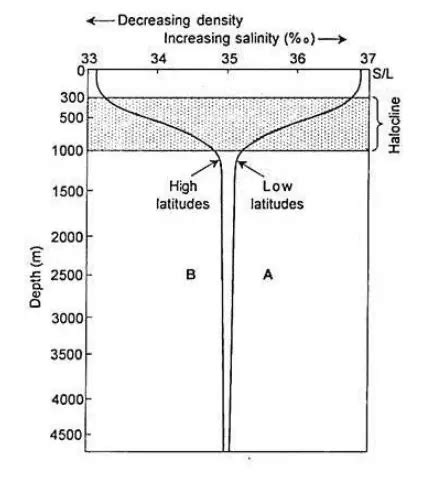 Ocean Salinity Explained 的图像结果