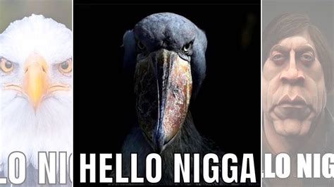 Helvete Ingen Nigga Meme Profil För KHUMBO NKHOMA