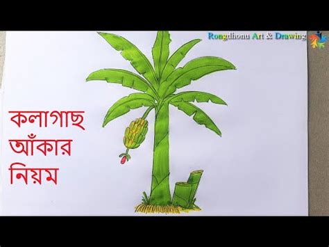 How to Draw Banana Tree Video Lecture - Complete Drawing Course: Learn ...
