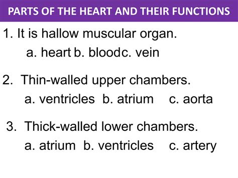 Tutorial of How a Heart Functions 的图像结果