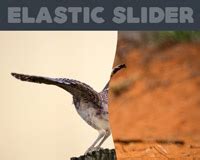 200+ JQuery Animation Plugins - September 2021