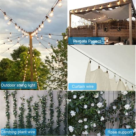 Buy 20m Garden Wire Support For Climbing Plants Wire Rope Kits, AMLOOPH ...