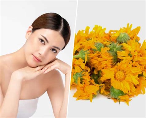 Gende Ka Phool Or Calendula Flower Homemade Anti Ageing Face mask ...