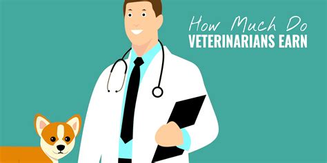 How Much Do Veterinarians Make – Experience, Specialization & Practice