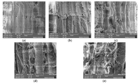 Thermal Degradation of Cassava Rhizome in Thermosyphon-Fixed Bed ...