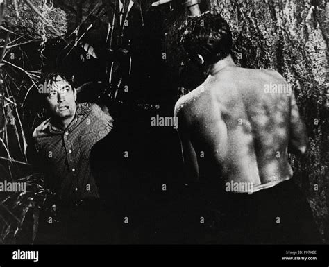 Original Film Title: CAPE FEAR. English Title: CAPE FEAR. Film Director ...