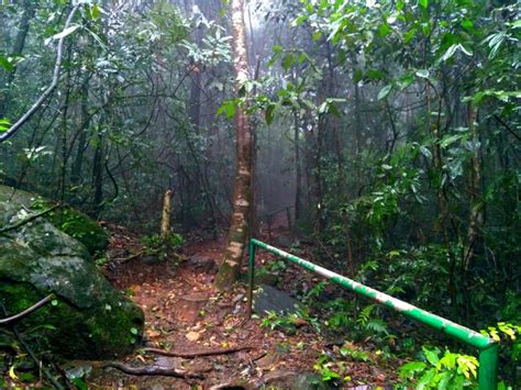 Ranipuram Hills: The Ooty of Kerala