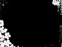 Image result for Editing Overlays