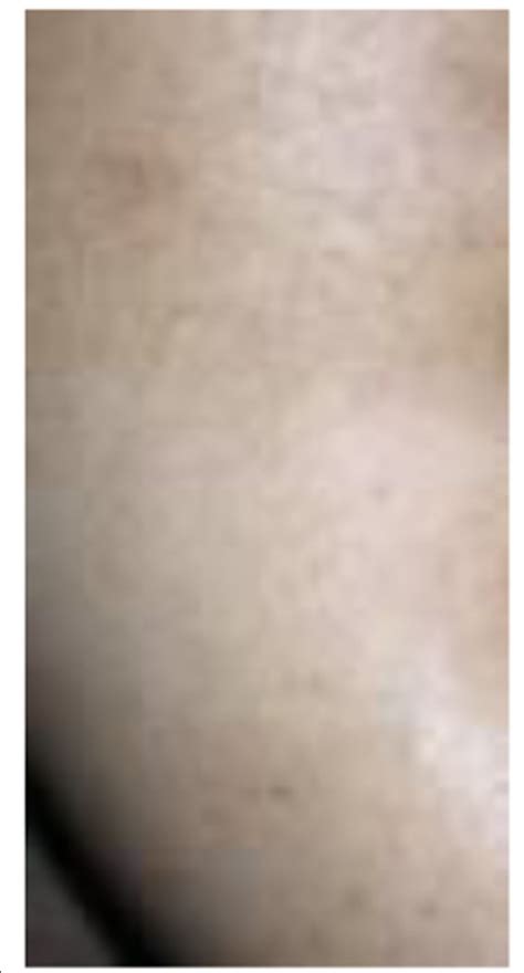 Skin 11 Unbound 1997 的图像结果