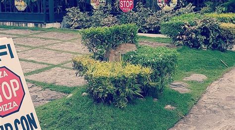 MJ PENSION HOUSE (Puerto Galera, Oriental Mindoro) - Inn Reviews ...