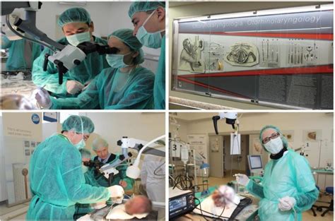 Lateral and anterior skull base surgery course 24-26.11.2022 – Katedra ...