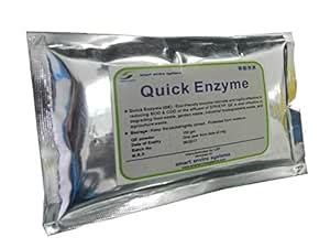 Smart Quick Enzyme, Compost Accelerator (150 gm) : Amazon.in: Garden ...