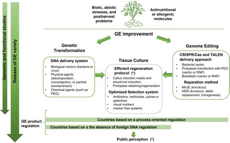 Genetic Engineering Process 的图像结果