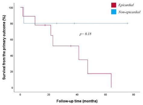 A Novel Approach to Cardiac Magnetic Resonance Scar Characterization in ...