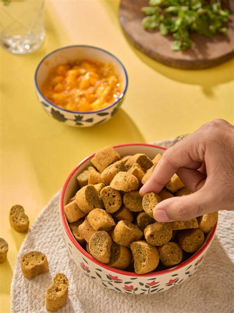 Papad Kit (Pack of 5) – Hastak Foods