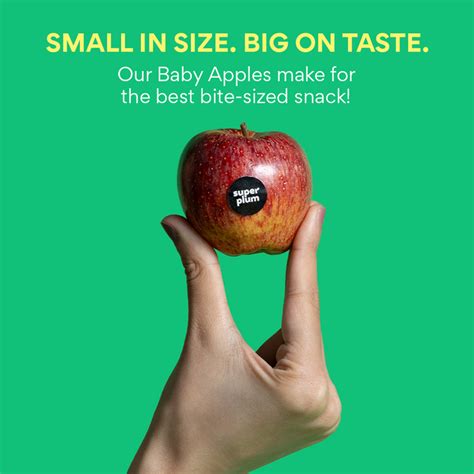 Baby Apple Indian: 500 gms (Delhi/NCR) — Snapping Turtles Pvt Ltd