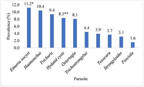 Inflicting Significant Losses in Slaughtered Animals: Exposing the ...