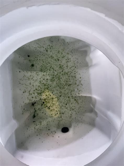 I have a small 35 gallon water tank, and mold has grown inside. Anyone ...