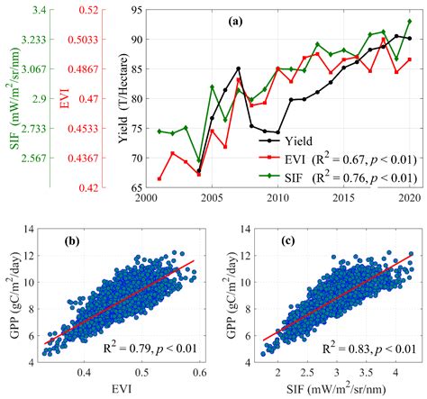 Downscaled Satellite Solar-Induced Chlorophyll Fluorescence Detects the ...