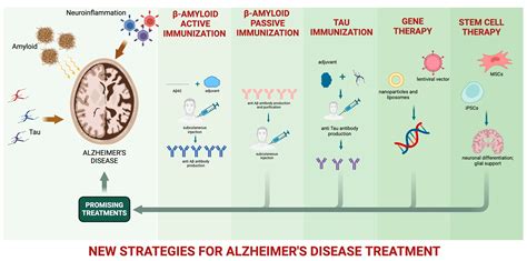 Novel Therapeutic Strategies in Alzheimer’s Disease: Pitfalls and ...