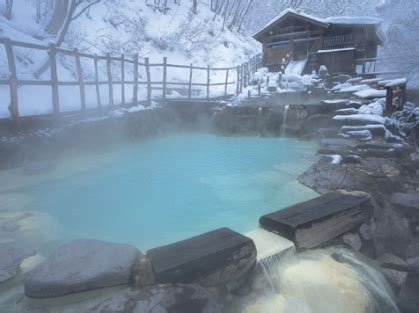 Image result for Onsen Types