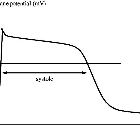 Image result for Transmembrane Potential