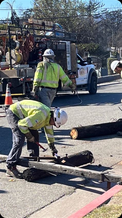 Local 47 Logo 的图像结果