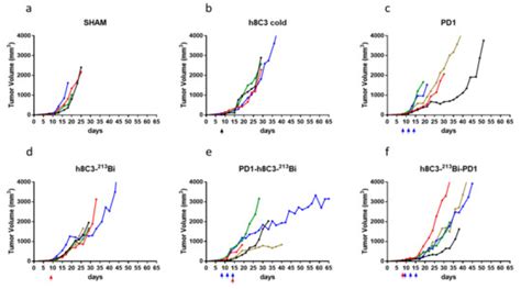 Evaluating the Combination of Radioimmunotherapy and Immunotherapy in a ...