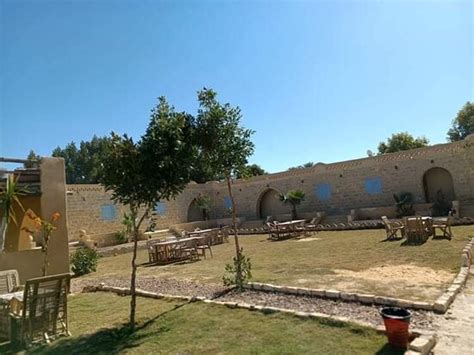 TEBTUNIS (Tunis) - Hotel Reviews, Photos, Rate Comparison - Tripadvisor