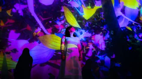 Image result for TeamLab Underware