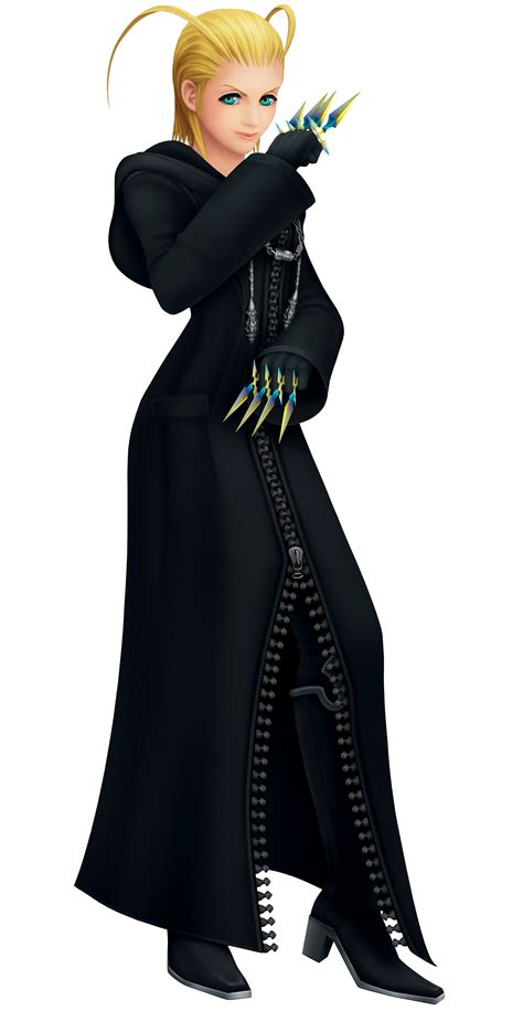 Kingdom Hearts Organization XIII, Betrayal, Destiny, Keyblade, Nobodies PNG