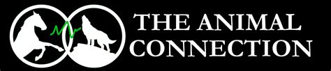 Image result for Animal Connection