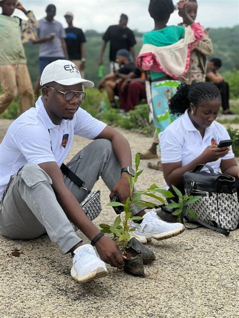 Image result for Tree-Planting Exercise