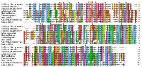Characterization of Insulin-Like Growth Factor Binding Protein 7 ...