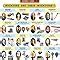 Buy Inventors & their Inventions 1 Wall Chart (Science Chart) - Both ...
