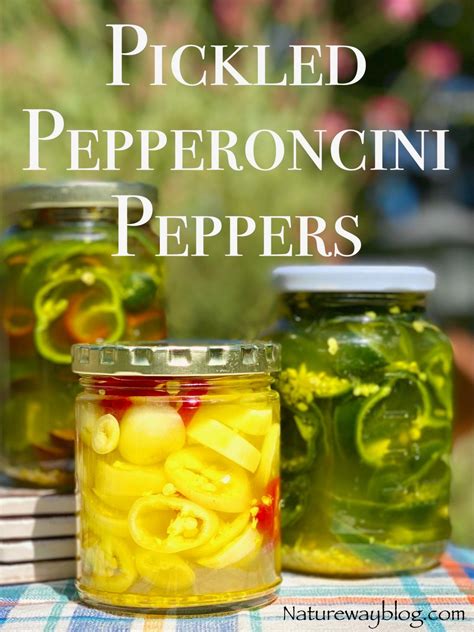 A Quick Pickling Method To Easily Preserve Pepperoncini Peppers ...