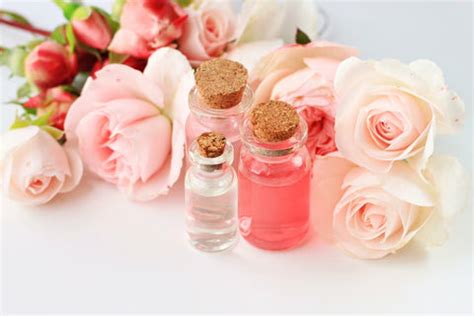 How to Make Rose Water at Home: 3 Easy DIY Methods – VedaOils