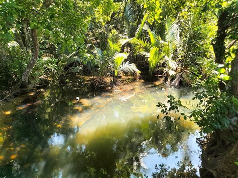 SIMUKUT PLACE (Pulau Tioman) - Lodge Reviews, Photos, Rate Comparison ...