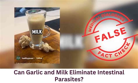Fact Check: Can Garlic and Milk Eliminate Intestinal Parasites?