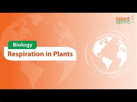 Respiration in Plants Video Lecture - Crash Course for SSC CGL (English)