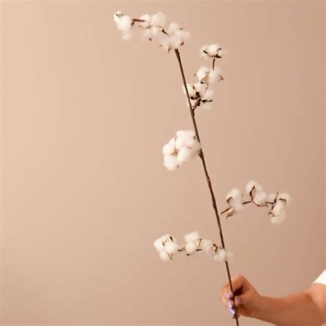 Cotton cloud Buds set – https://artecasa.in/