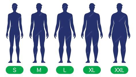 Male Body Types Chart