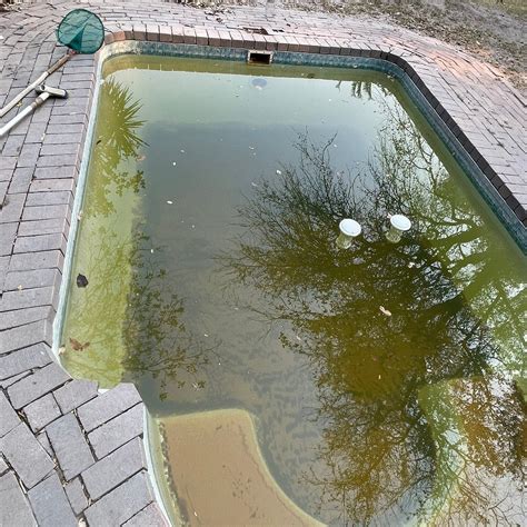 THE OLD BRIDGE BACKPACKERS (Maun) - Hostel Reviews & Photos - Tripadvisor