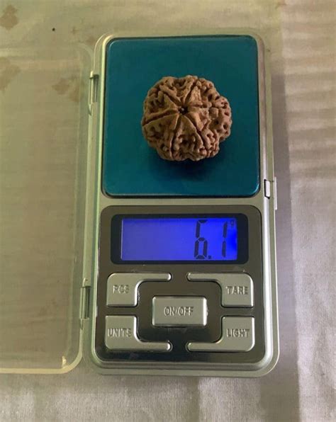 Collector Nepali Rudraksha Beads Online Shop | Collector Java Rudraksha ...