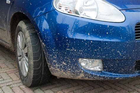 Het grote auto detailing topic - Mobiliteit - GoT