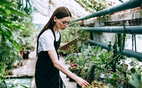Basic Hydroponics for Beginners 的图像结果