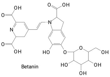 The Profile of Phenolic Compounds Identified in Pitaya Fruits, Health ...