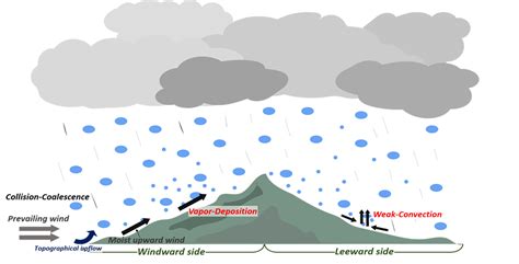 Leeward Side Of Mountain