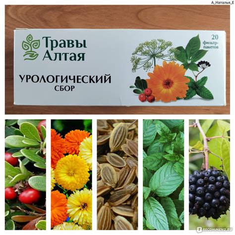Фиточай "Урологический сбор" серии "Алтай" - «Отличное средство для ...